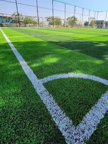 Turf photo 2