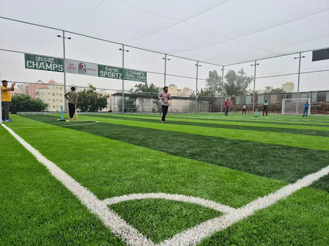 Turf photo 3
