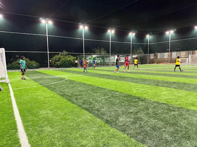 Turf photo 2