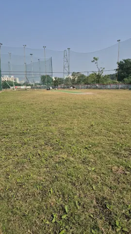 THE GIANT CRICKET BOX