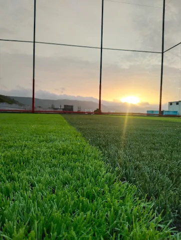 Turf photo 3