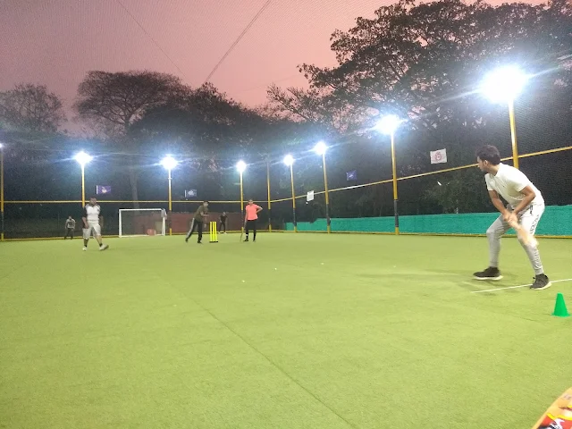 Turf photo 3