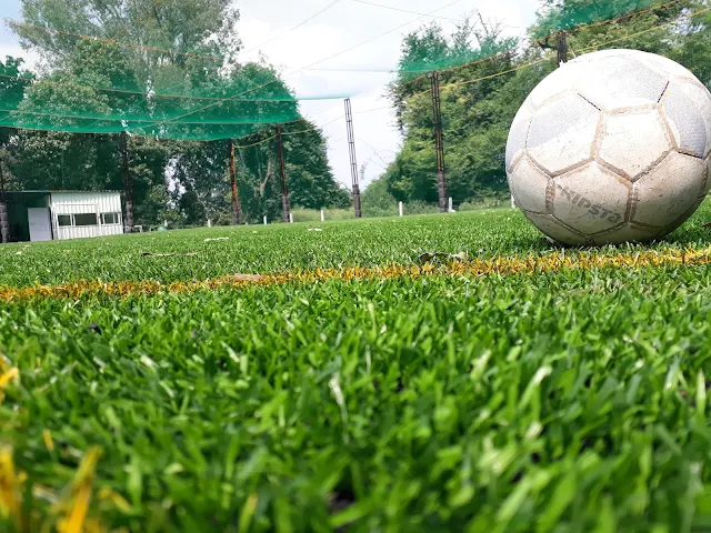 Turf photo 8