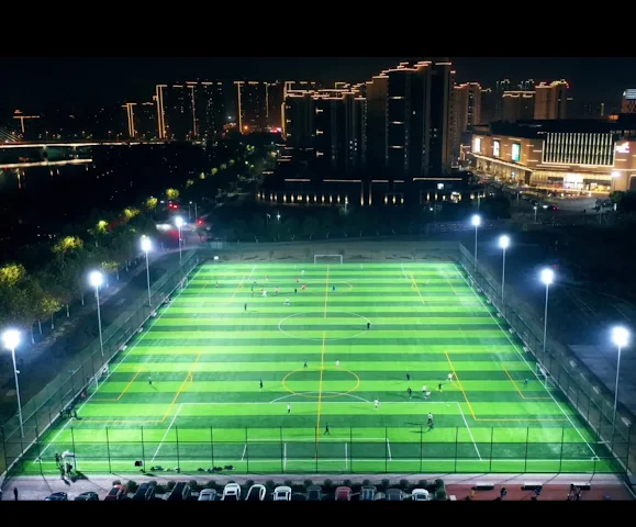Turf photo 2