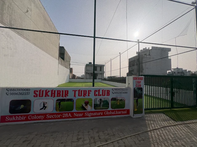 Turf photo 2