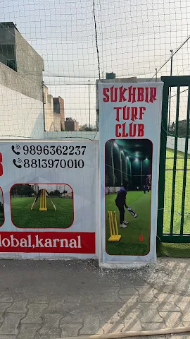 Turf photo 3