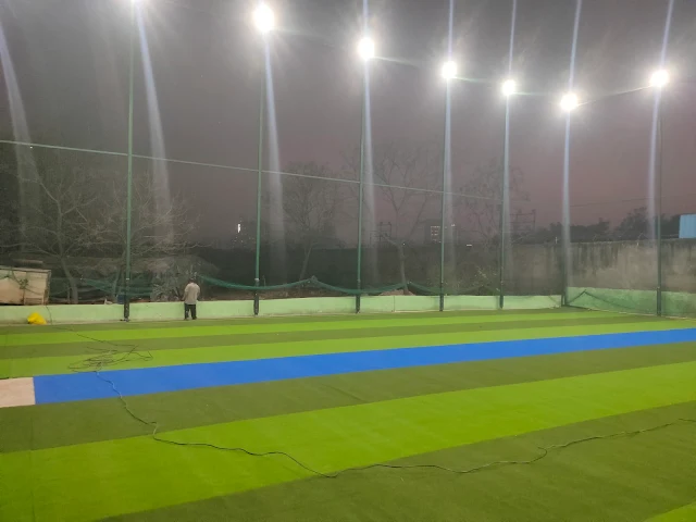 Turf photo 2