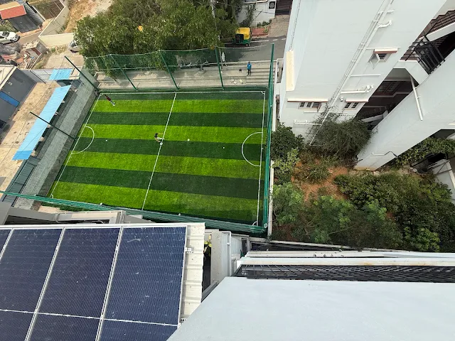 Turf photo 3