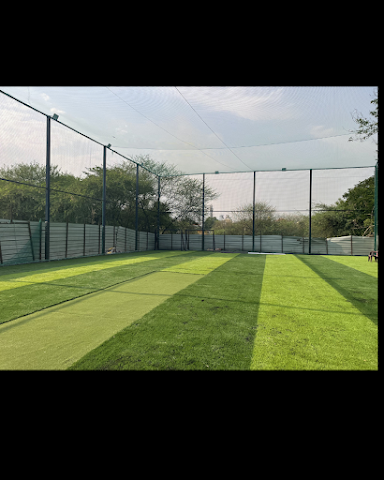 Turf photo 3