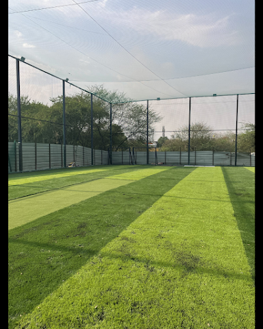 Turf photo 2