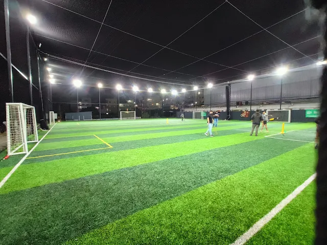Turf photo 2