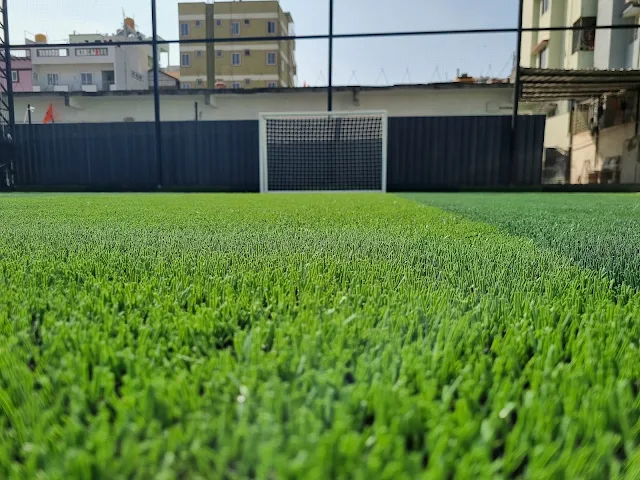Turf photo 4