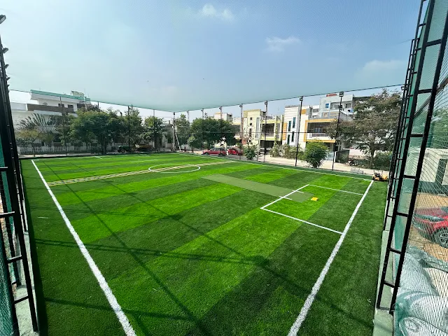 Turf main photo