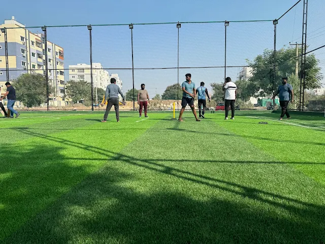Turf photo 3