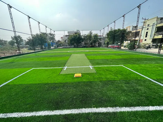 Turf photo 4