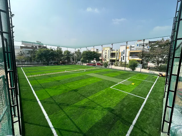Turf photo 5