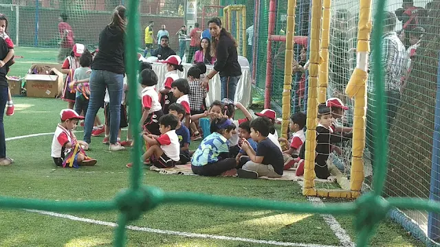 Turf photo 6