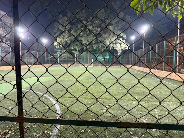 Turf photo 2