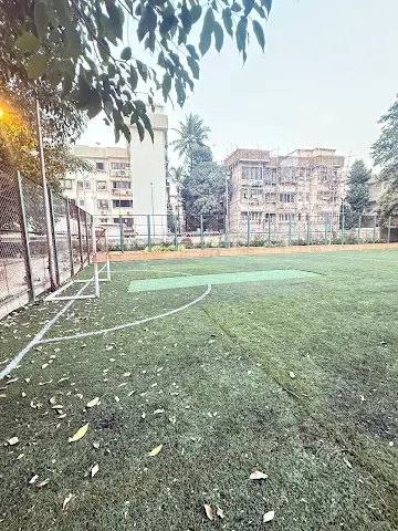 Turf photo 3