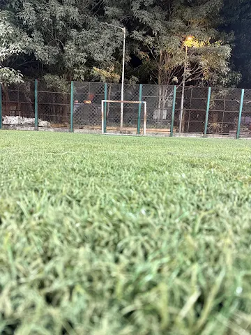 Turf photo 8