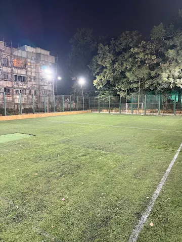 Turf photo 7