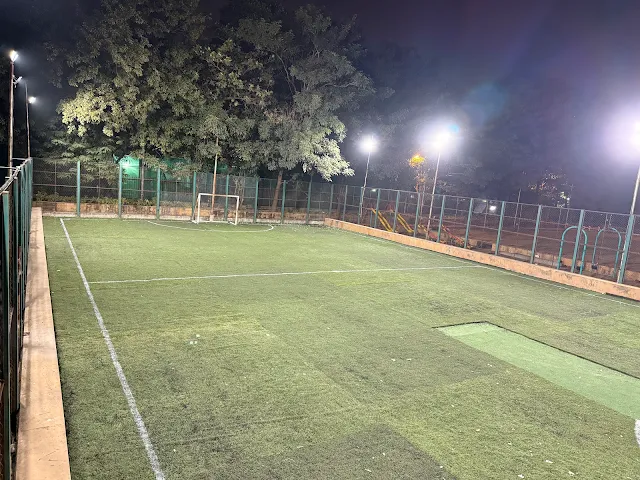 Turf photo 6