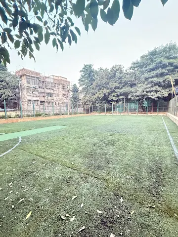 Turf photo 4