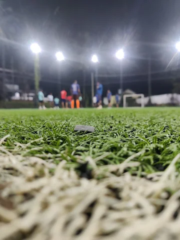 Turf photo 7