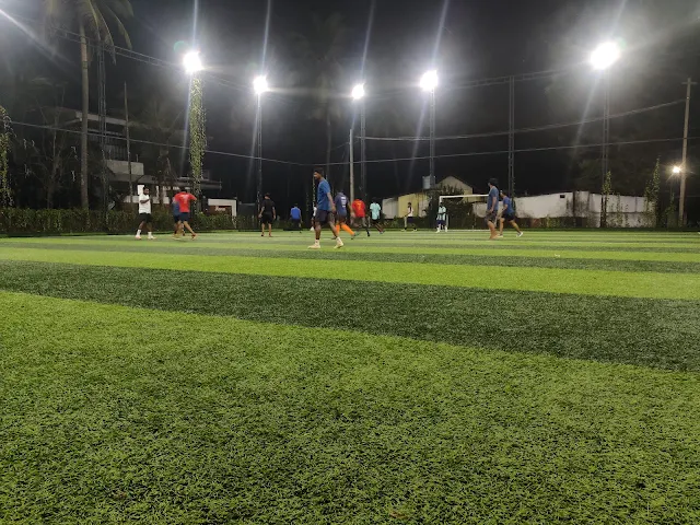 Turf photo 2