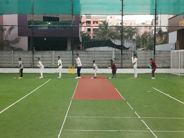 Turf photo 8
