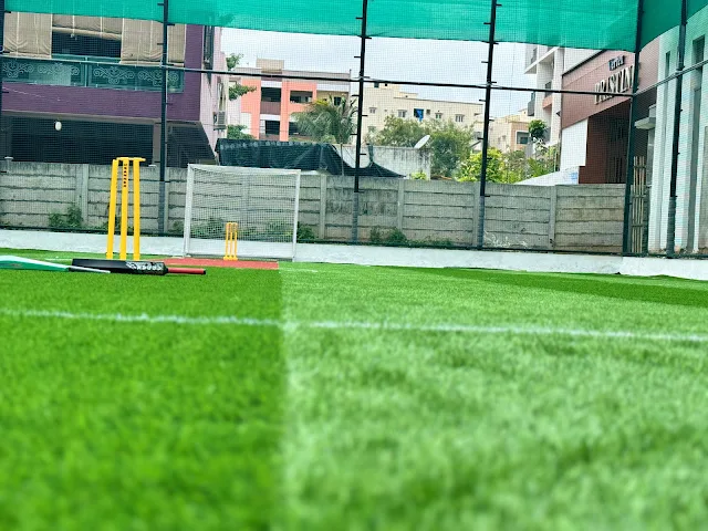 Turf photo 6