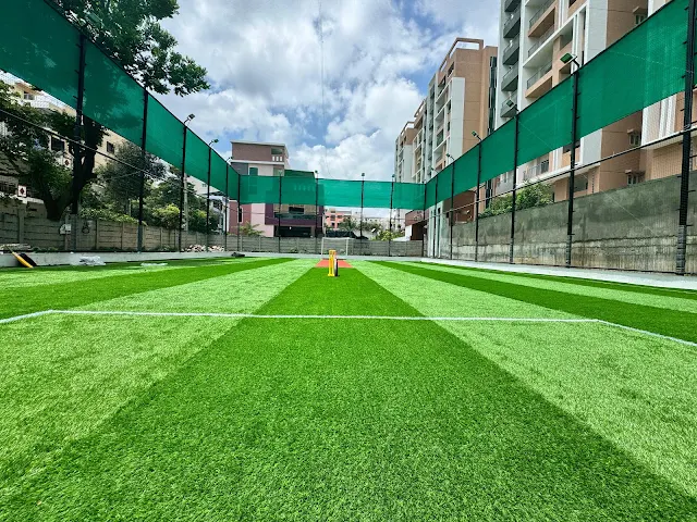 Turf photo 4