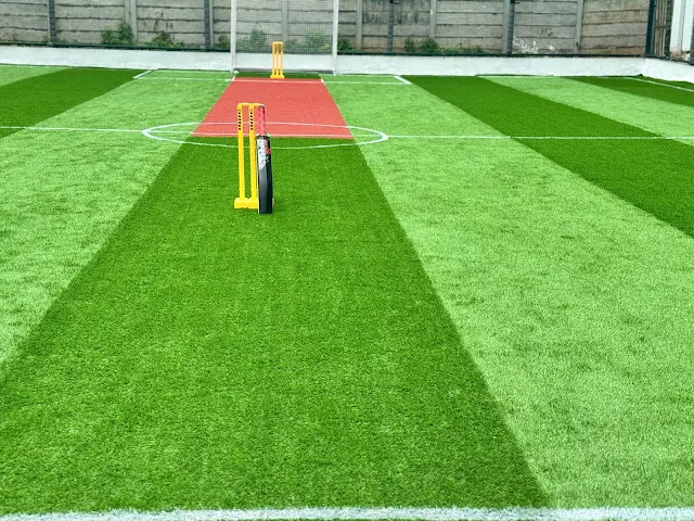 Turf photo 2