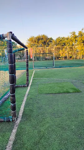 Turf photo 2