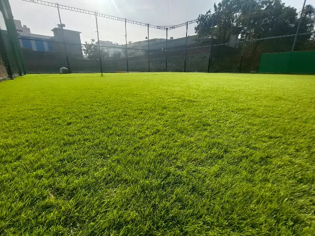 Turf photo 5