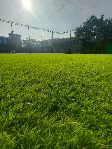 Turf photo 2