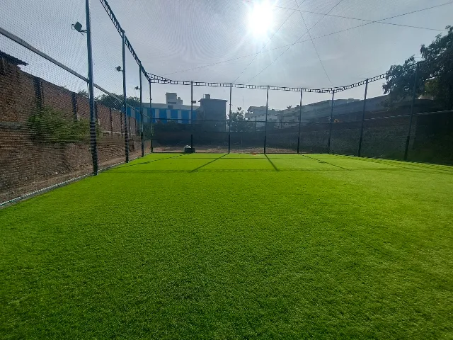 Turf photo 6
