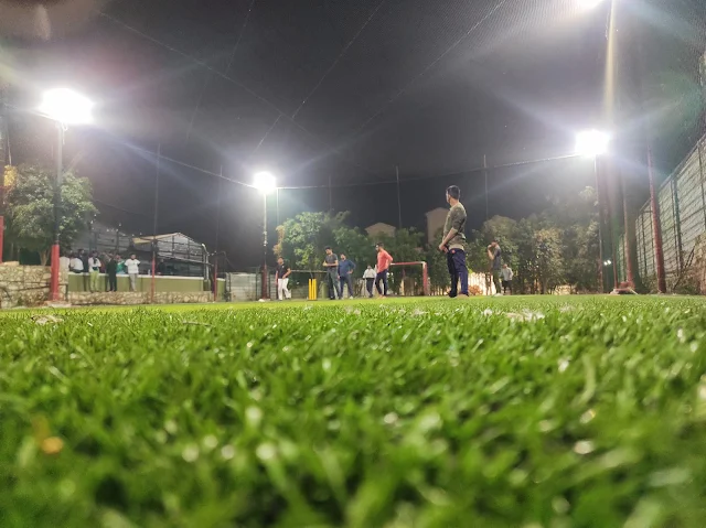 Turf photo 2