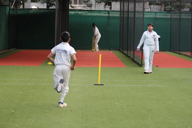 Turf photo 6