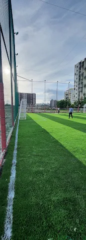 Turf photo 2