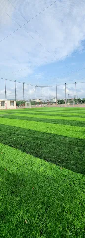 Turf photo 6