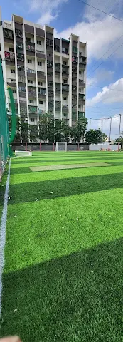Turf photo 5
