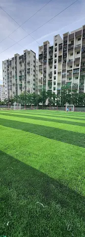 Turf photo 4