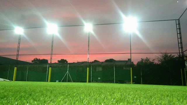 Turf photo 2