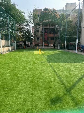 Turf main photo