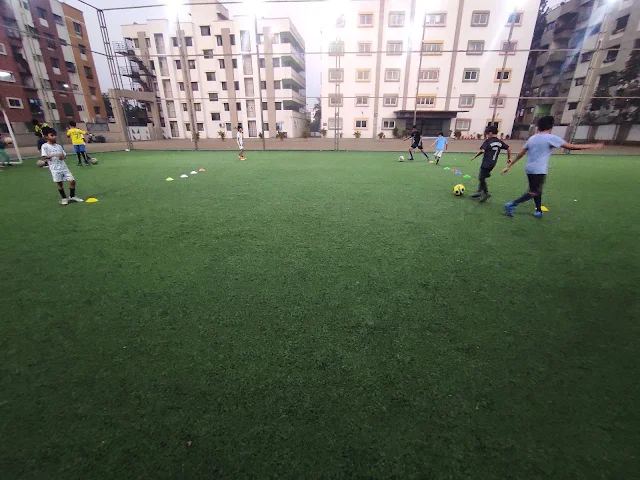 Turf photo 5