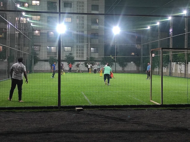 Turf photo 6