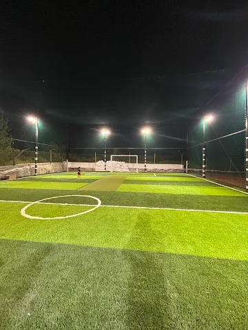 Turf photo 3