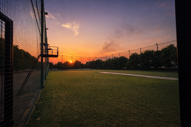 Turf photo 6