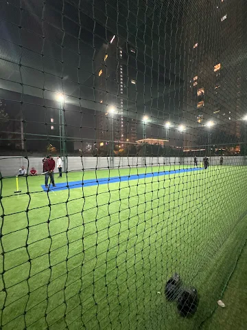 Turf photo 3